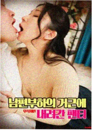 黑龙江影视频道直播作品详情示意图